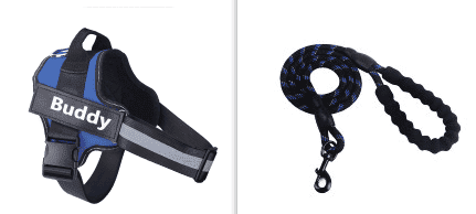 Fashion Simple Pet Leash Chest Strap Set (Option: Blue-M)